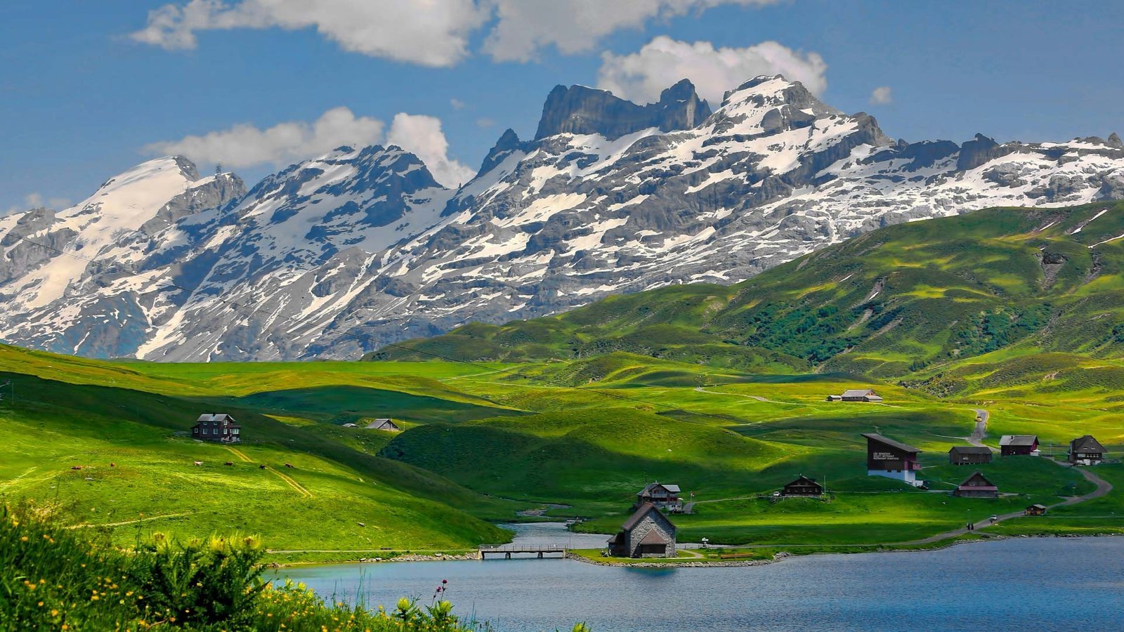 Alpine Valley Snow Peak Nature Expedition Tour